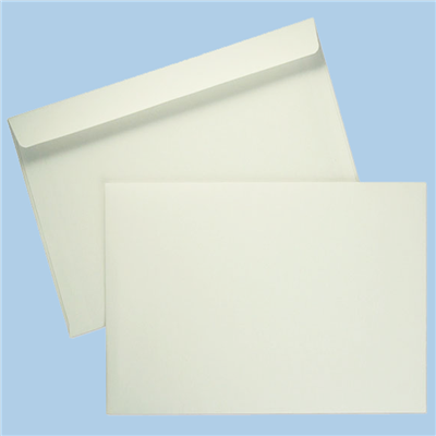 9x12 Booklet Envelopes