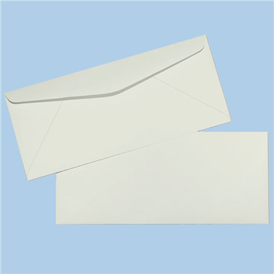 #10 Regular Envelopes